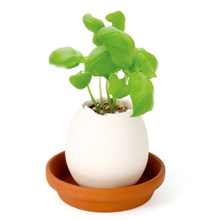 Firebox Global Secret Santa (Send an Eggling)