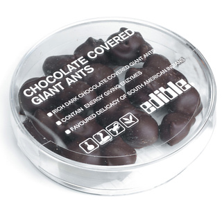 Firebox Global Secret Santa (Send some Chocolate Ants)