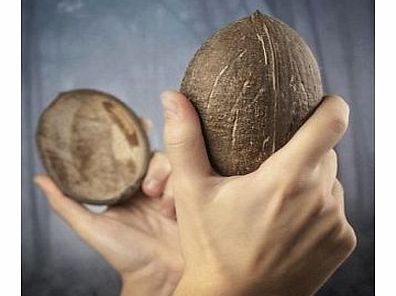 Firebox Horse Action Figure