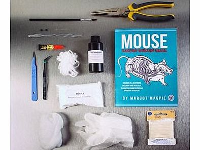 Firebox Mouse Taxidermy Kit