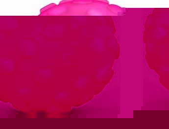 Sphero 2.0 (Nubby Cover - Pink)