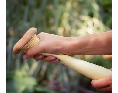 Stress Mushrooms (King Trumpet)