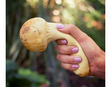 Firebox Stress Mushrooms (Matsutake)