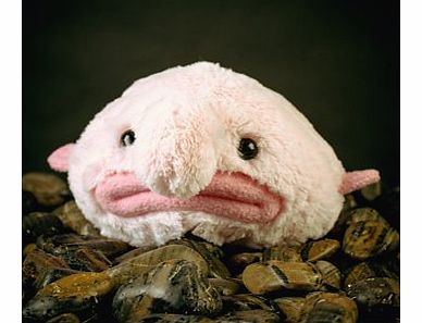 Firebox Stuffed Blobfish