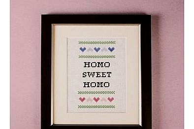 Subversive Cross Stitch Kits (Homo Sweet Homo)