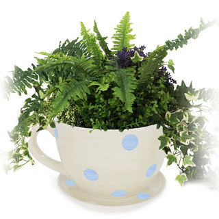 Teacup Plant Pots (Cream with Blue Spots)