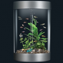 Fish Biube Coldwater Aquarium With Halogen Light