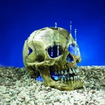 Fish Classic Aqualumo Glowing Skull 8 Single