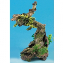 Classic Biorb Bonsai On Driftwood 12
