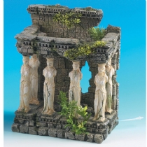 Fish Classic Roman Maidens/Plants/Air Single