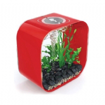 Fish Reef One Biorb Life Portrait Aquarium White 30