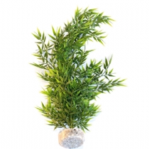 Sydeco D&Uacute;cor Aqua Plant Bamboo Flexible