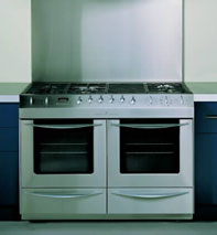 Fisher & Paykel Galaxy
