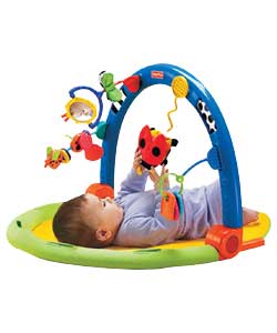 Fisher Price Miracles and Milestone 3 in 1 Gym