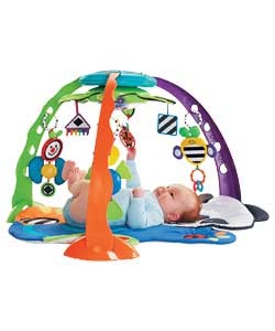 Fisher Price Miracles and Milestone Magical Mobile Gym