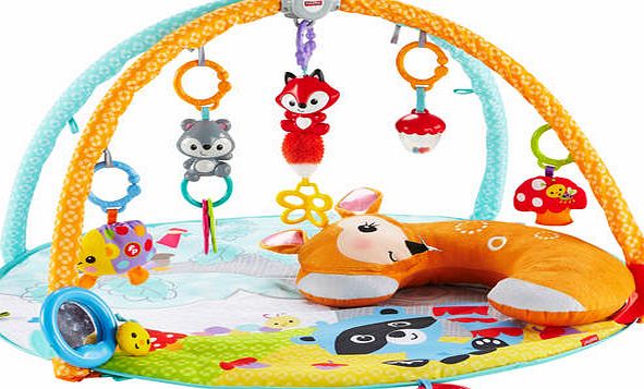 Fisher-Price Moonlight Meadow Deluxe Gym