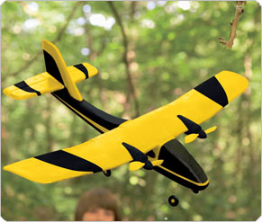 Virtually Indestructible Plane