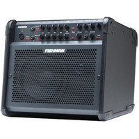 Fishman Loudbox 100 Acoustic Amp