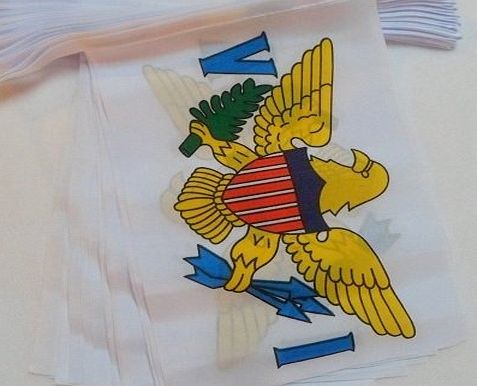 Flag Co 6m 20 Flag Virgin Islands Material Bunting