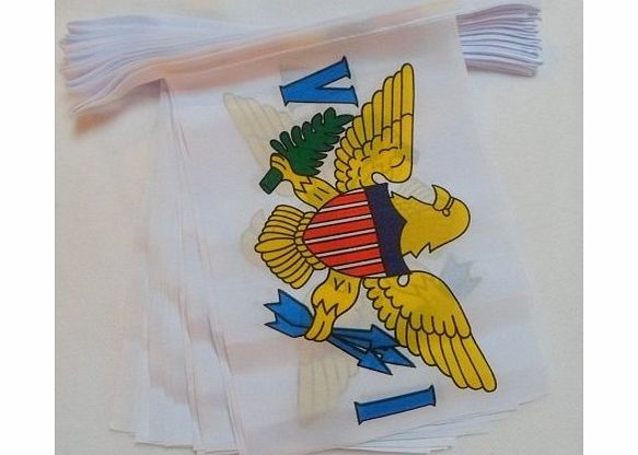 Flag Co 9 Metres 30 Flag US Virgin Isles Island Material Bunting