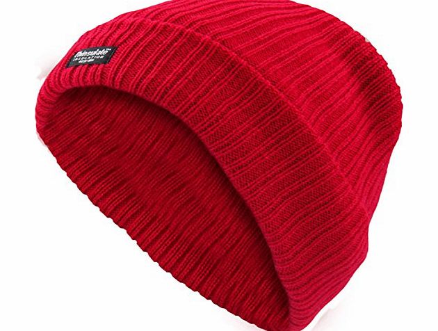 Flagstaff LADIES THINSULATE BEANIE HAT FLEECE LINED WINTER SKI RIB KNITTED CAP 40 GRAM 3 M (6 DIFFERENT COLOURES) (PURPLE)