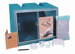 flexi Summertime Collar - Large:Mint