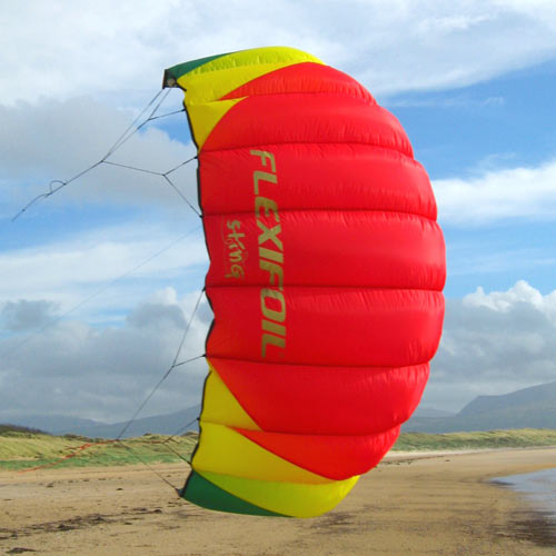 Flexifoil Hardware Flexifoil Sting 2 Kite - 1.2m Line And