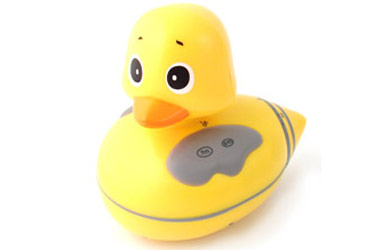 Floating Duck Fm/Am Radio