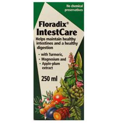 Floradix Intestcare