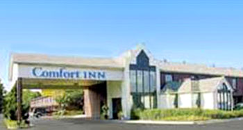 Comfort Inn Florence