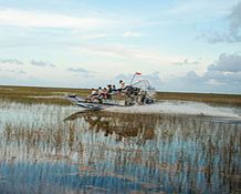 Florida Everglades Airboat Adventure - Child