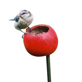 Flower Bed Cup Feeders