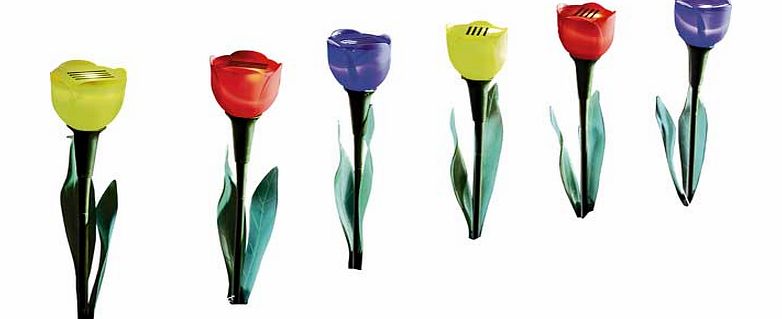 Flower Solar Lights - Set of 6