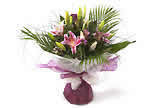 Flowergram Lily Sensation