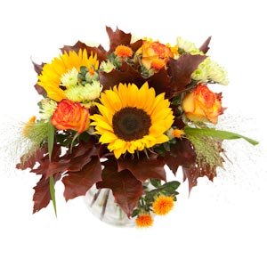 Flowers Direct After Glow