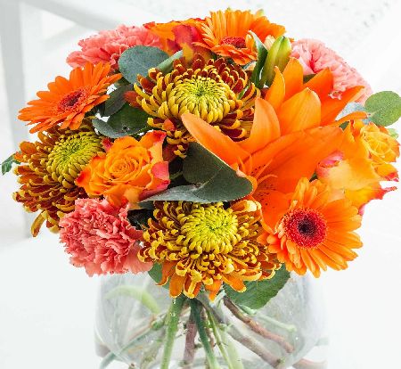 Flowers Direct Autumn Blaze