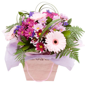 Flowers Direct Beautiful Bag of Hugs