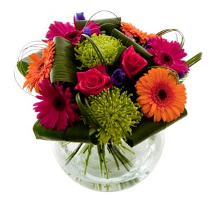 Flowers Direct Carnival