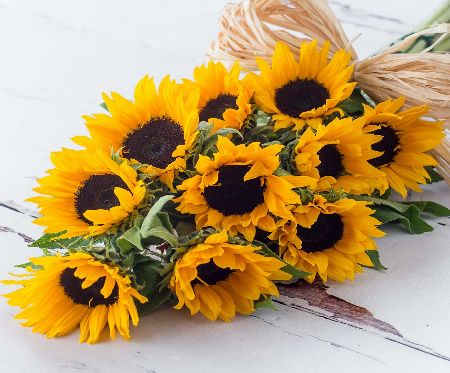 Flowers Direct Glorious Sunflowers