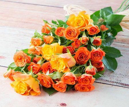 Flowers Direct Orange Fusion Roses