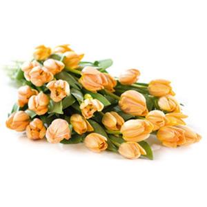 Flowers Direct Orange Tulips
