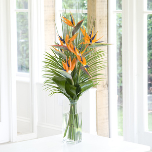 Flowers Direct Paradise