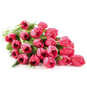 Flowers Direct Red Tulips