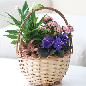 Flowers Direct Small Autumn Indoor Basket