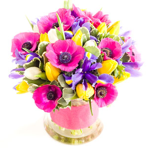 Flowers Direct Spring Time