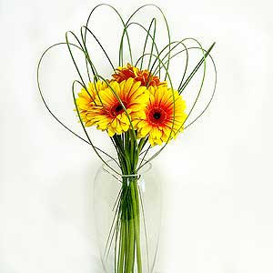 Flowers Directory Acapulco Sunset and Vase