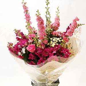 Baby Girl Handtie & Toy