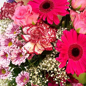 Flowers Directory Bairitz in pink