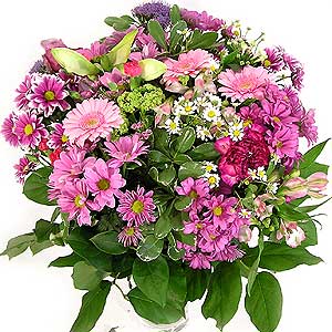 Flowers Directory Blush Handtie