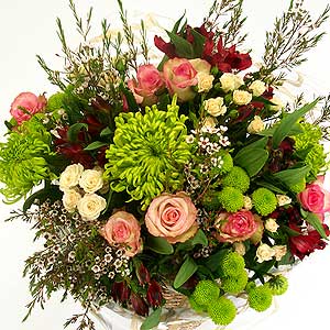 Flowers Directory Cezanne